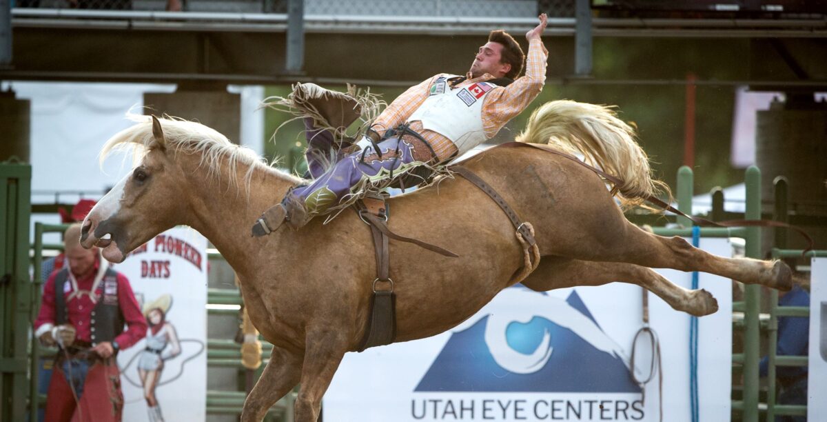 Tremonton cowboy consistently winning money at WNFR News, Sports, Jobs StandardExaminer